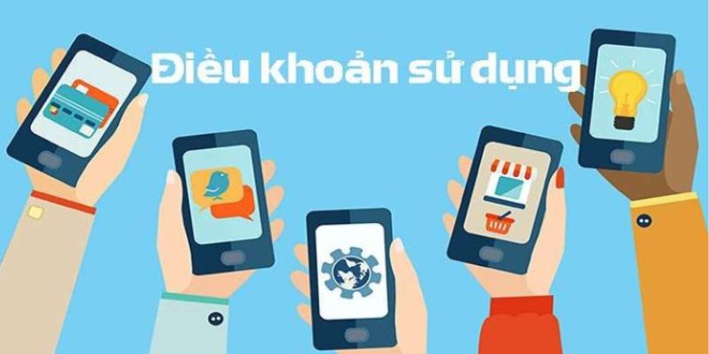 Quyền và bổn phận của bạn trong điều khoản 